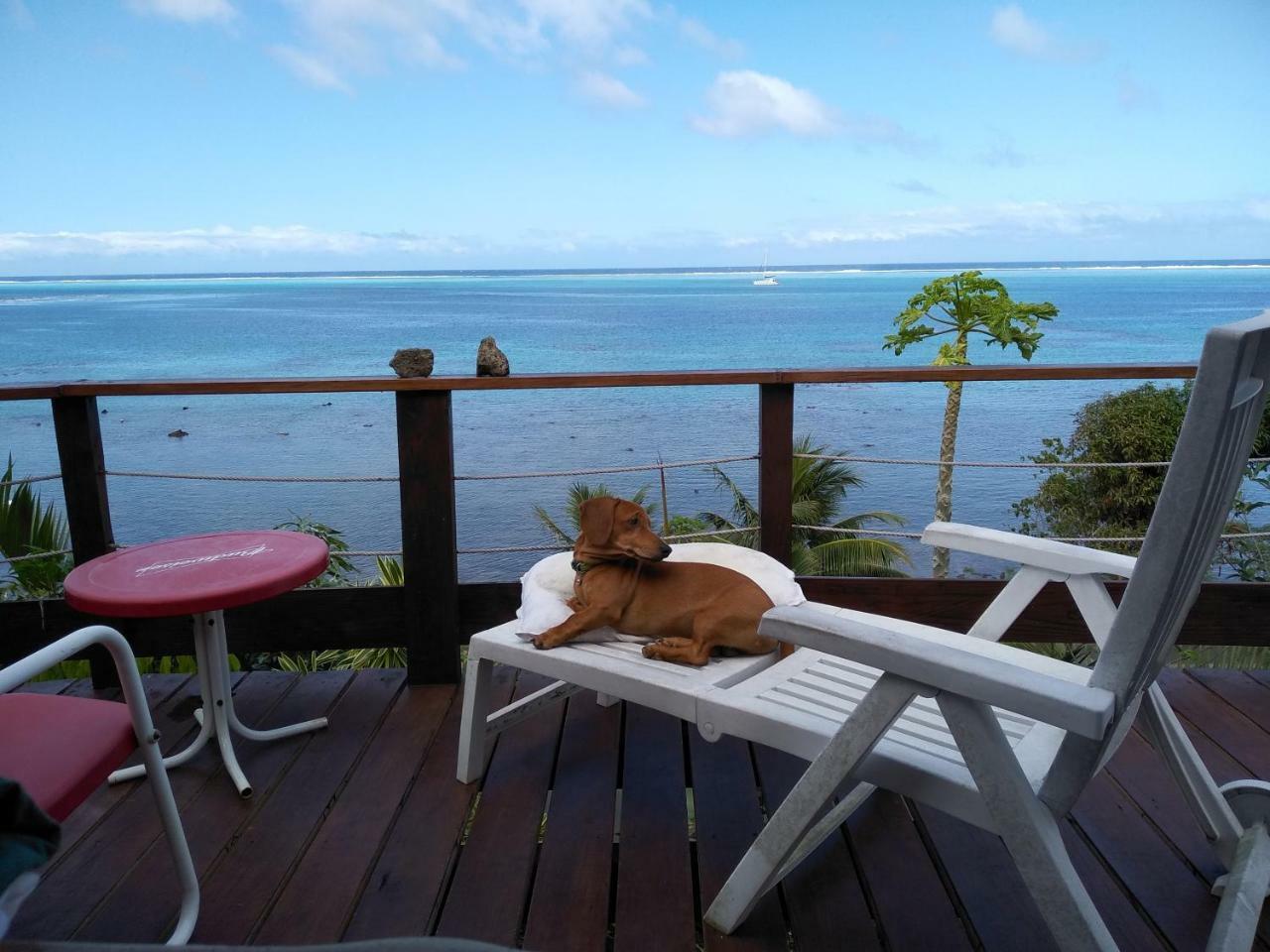 Tehuarupe Surf Studios Haapiti Luaran gambar